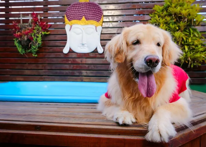 Hotel de luxo Apenas: Pousada Pura Vida Maresias